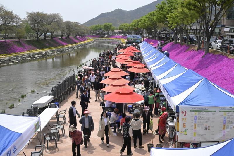 순창에서 봄의 향을 즐기세요! 참두릅 여행 경천변일원에서...