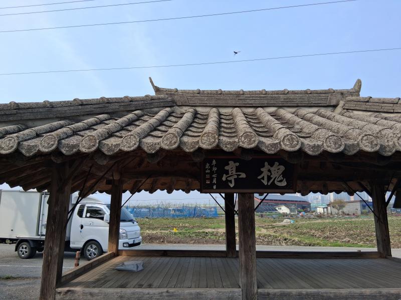 회화나무 아래에서 아이들을 가르치다
