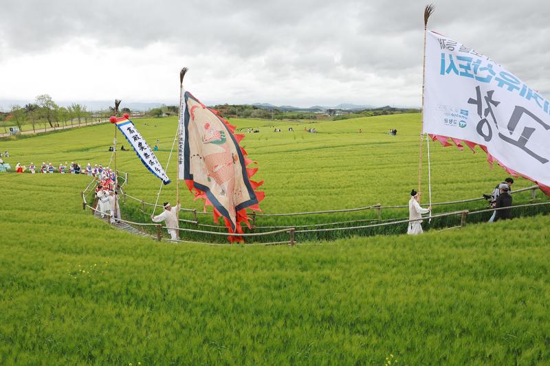 [기획] 고창청보리밭축제’, 18일(토) 개막