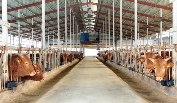  정읍시, 축산 악취 잡는 ‘BM활성수’ 인기, 친환경 축산 이끈다”
