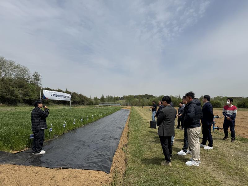 농촌진흥청, 국산 이탈리안 라이그라스 신품종 ‘아우라’ 첫 공개