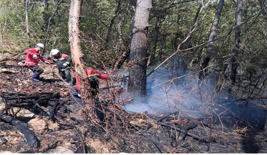 전북 곳곳서 산불 잇따라