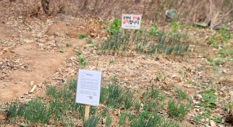 익산시, 공원 내 불법 경작·무단점유 뿌리 뽑는다
