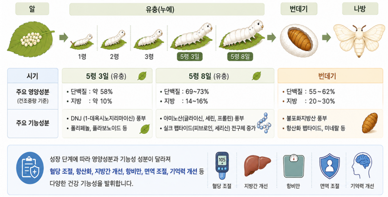 양잠 산물 ‘기능성 구명 연구’로 바이오 소재 산업 힘 싣는다