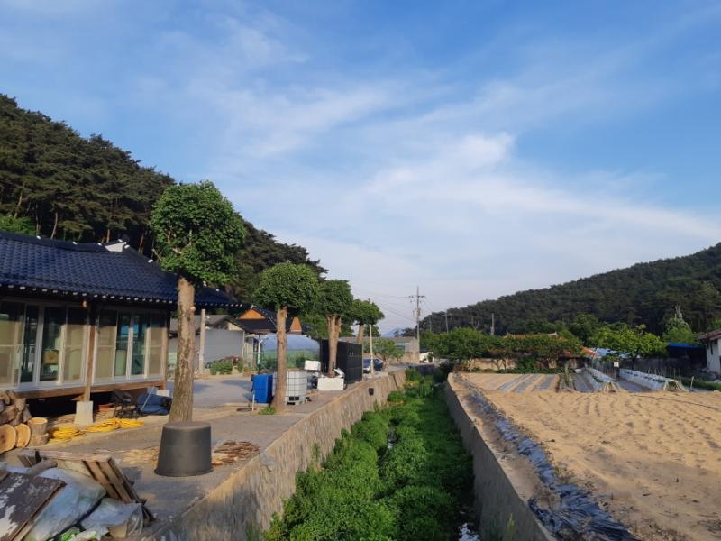 부안 상서면, 마을 노거수 정비사업 완료
