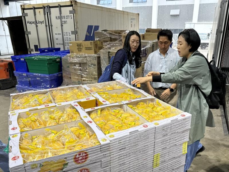 농산물 선박 수출 늘린다 ‘시에이(CA) 수출·품질 관리 프로그램’ 공개
