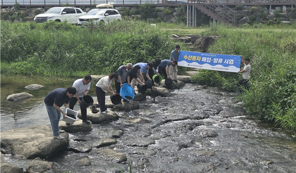 장수군 내수면 수산자원 보전을 위한 다슬기 치패 방류