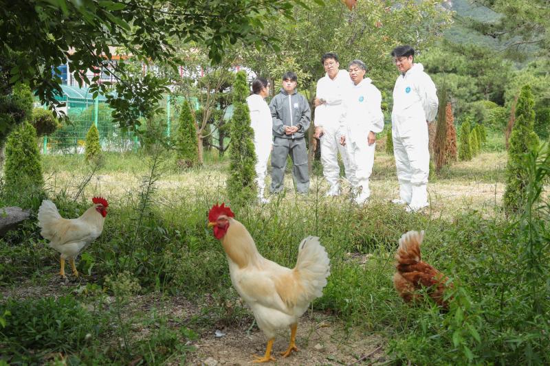 농촌진흥청, 동물복지 산란계 농장 찾아 현장 목소리 청취