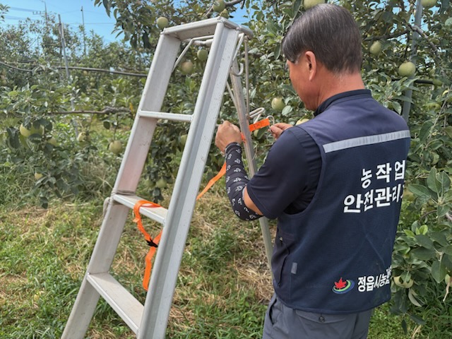 정읍시, 과수 농가 사다리 추락사고 예방 나서
