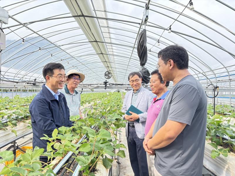 농진청, 딸기 중소형 스마트팜 현장 실증 농가 방문