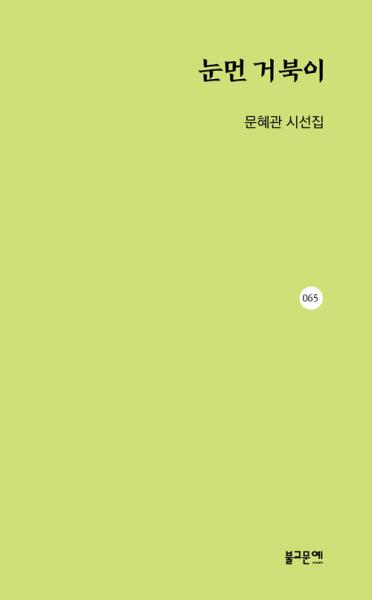 마당에 놓인 거북이가 어느 날 눈 뜬 듯한 모습을 보다