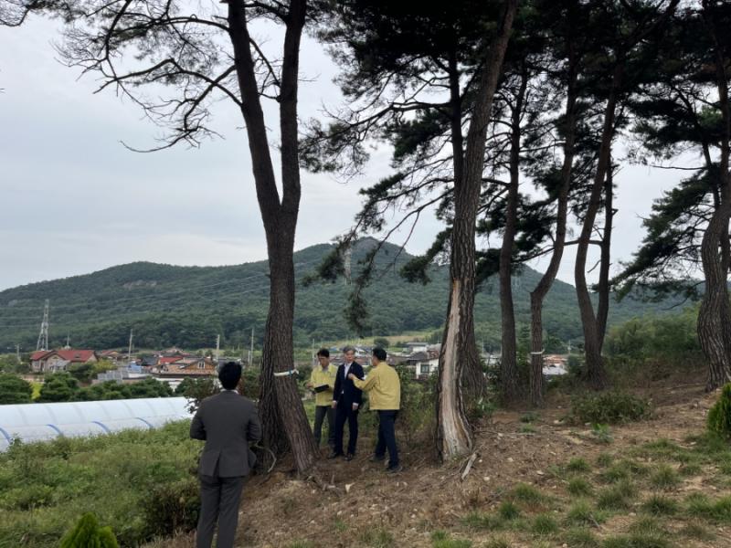 고창군, 소나무재선충병 확산 방지 총력