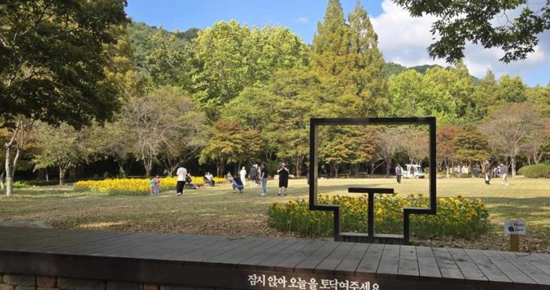 모악산 곳곳 가을 해바라기 물결 가득
