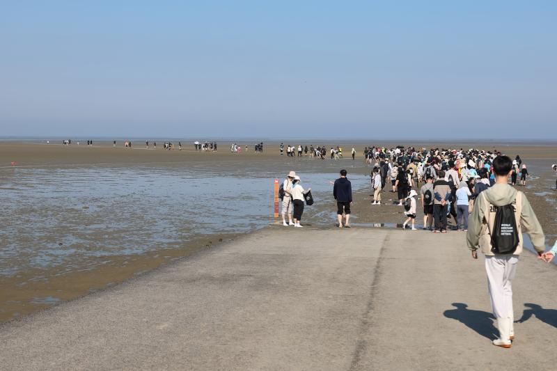 고창군, 고창갯벌 맨발 걷기대회 열려