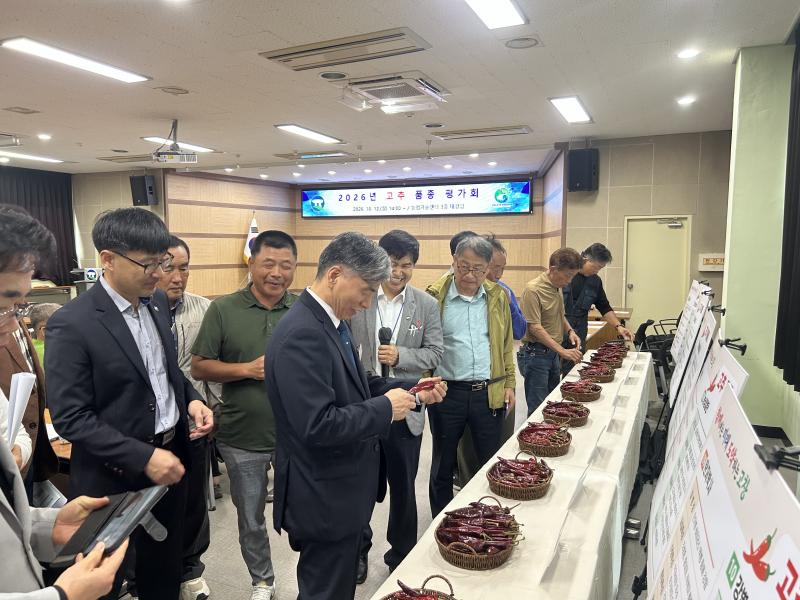 고창군, 고품질 고추 품종 발굴 위한 품종 평가회
