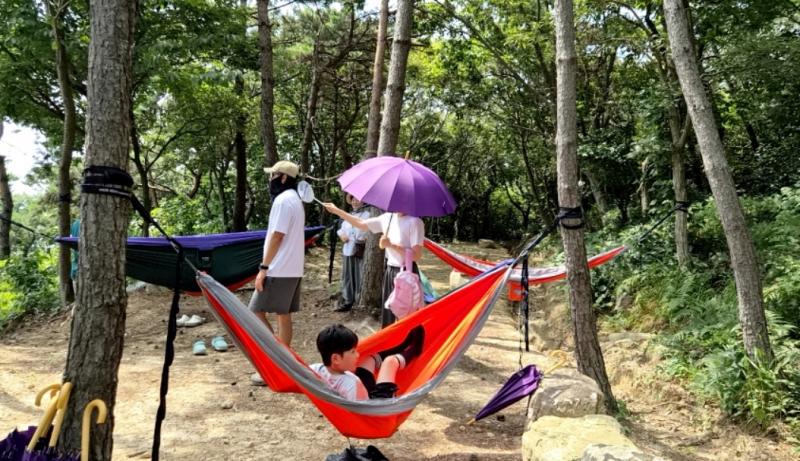 정읍 치유의 숲, 21일부터 무료 시범 운영…11월 29일까지