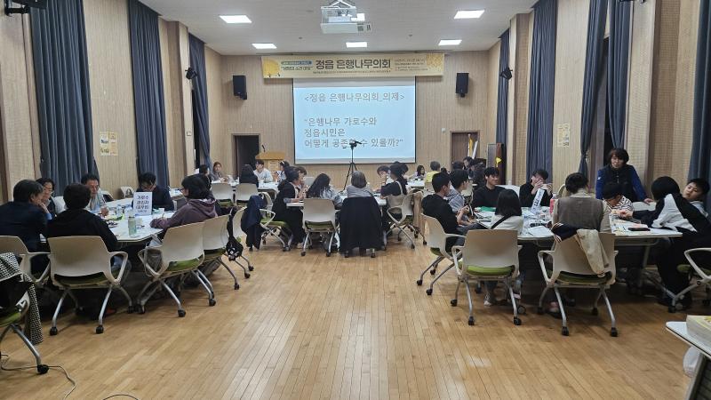 40년 도심 가로수와 인간의 공존을 묻다… ‘은행나무 의회’ 열려