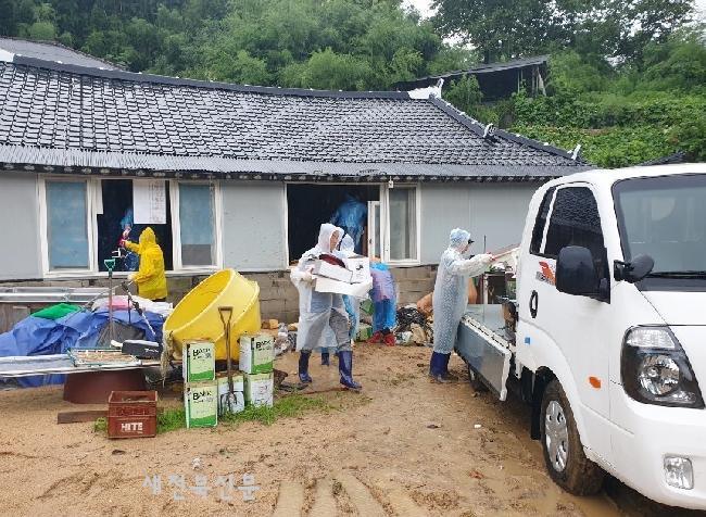 기사 대표 이미지