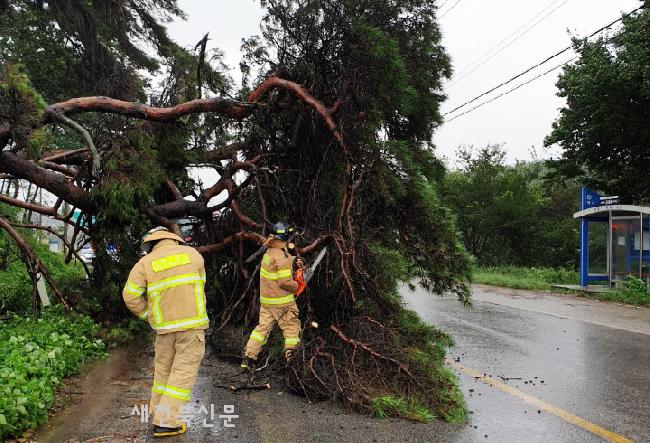 기사 대표 이미지