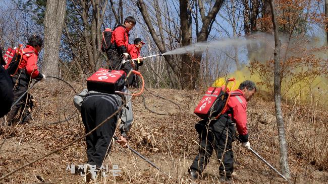 기사 대표 이미지