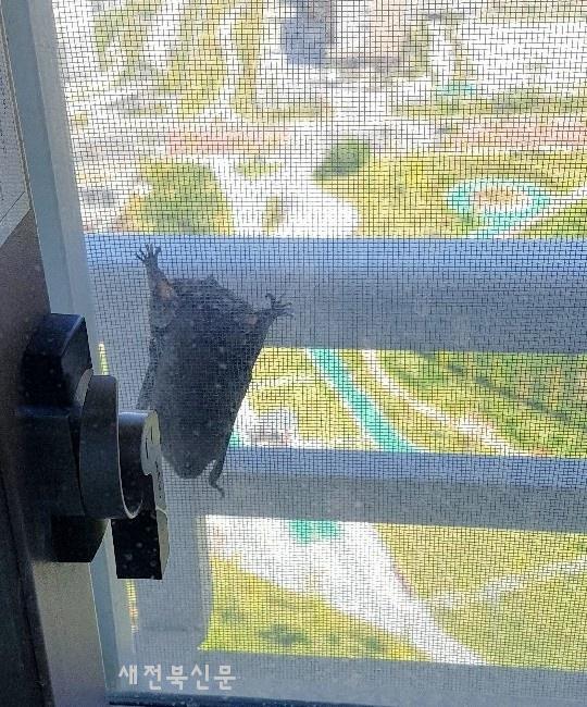 기사 대표 이미지