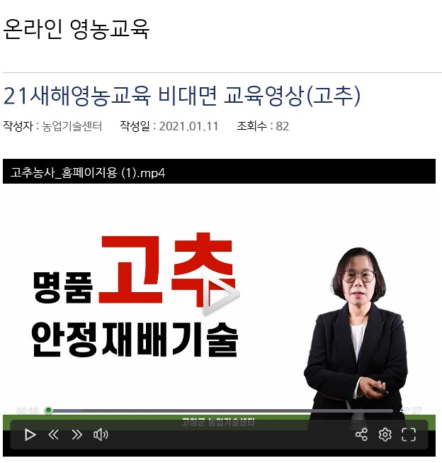 기사 대표 이미지