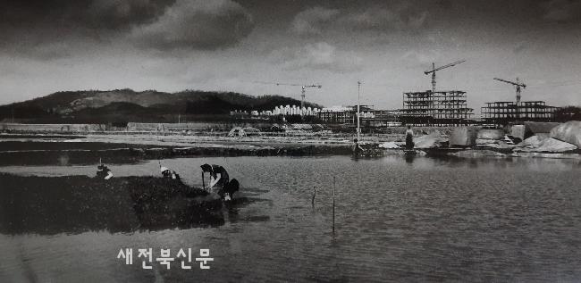 기사 대표 이미지