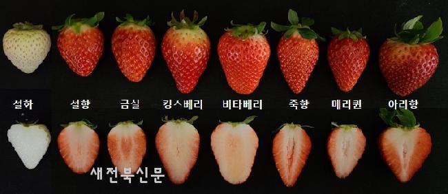 기사 대표 이미지