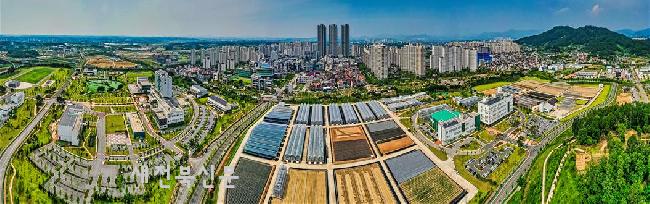 기사 대표 이미지