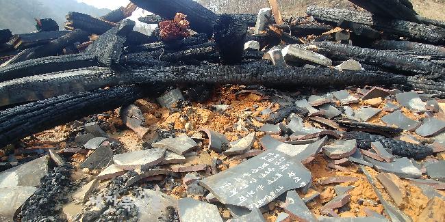 기사 대표 이미지