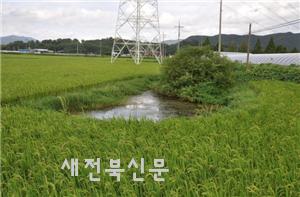 기사 대표 이미지