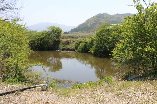 기사 대표 이미지