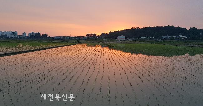 기사 대표 이미지