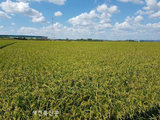 기사 대표 이미지