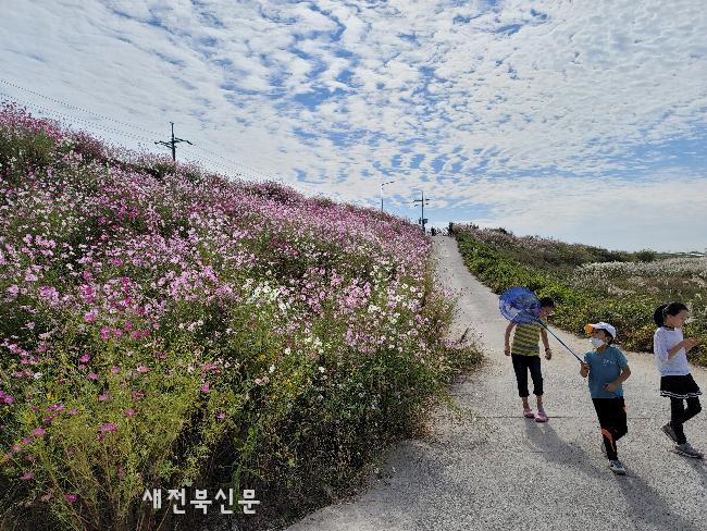기사 대표 이미지
