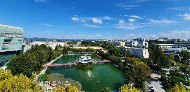 기사 대표 이미지