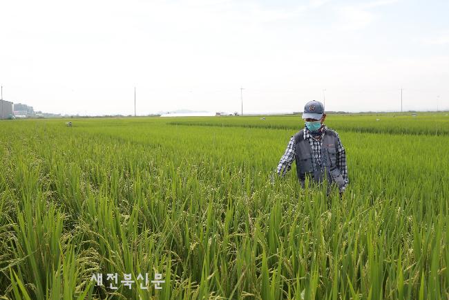 기사 대표 이미지