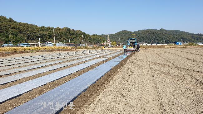 기사 대표 이미지