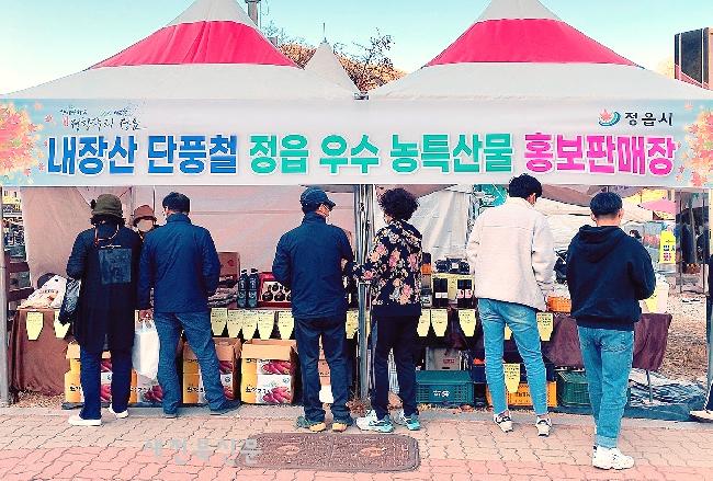 기사 대표 이미지