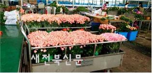 기사 대표 이미지