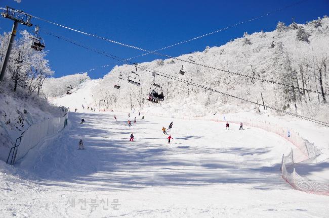 기사 대표 이미지