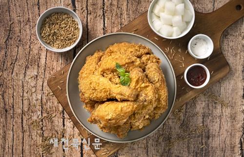 기사 대표 이미지