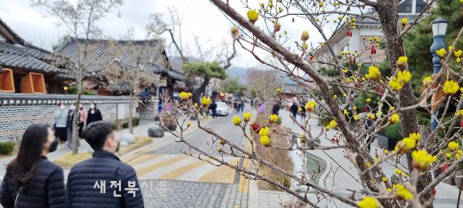 기사 대표 이미지