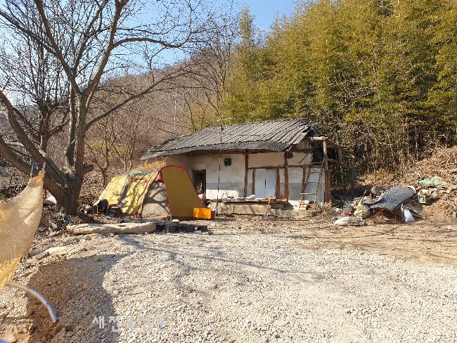 기사 대표 이미지