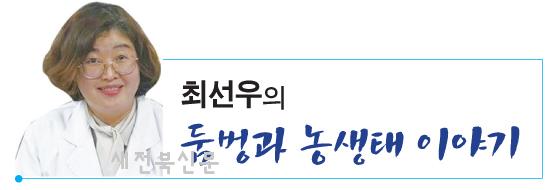 기사 대표 이미지