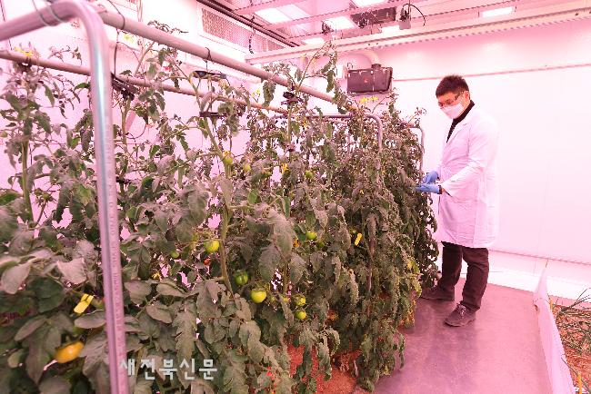 기사 대표 이미지