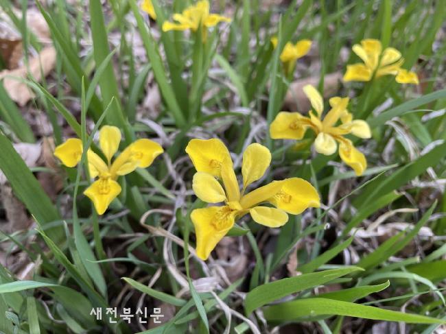 기사 대표 이미지