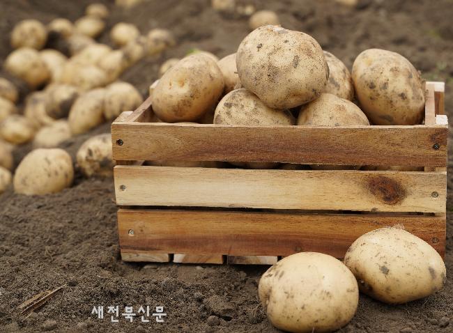 기사 대표 이미지