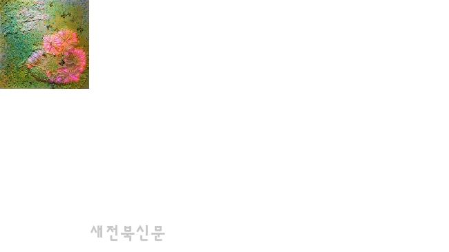 기사 대표 이미지