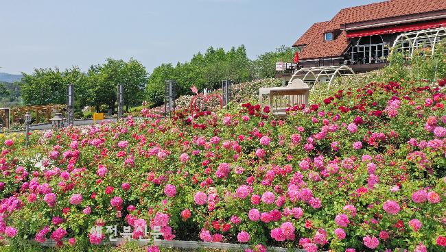 기사 대표 이미지